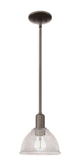 Arcadia One Light Mini Pendant in Oil Rubbed Bronze (405|7161SOBG422)