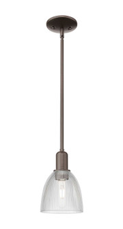 Arcadia One Light Mini Pendant in Oil Rubbed Bronze (405|7161SOBG382)