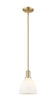 Arcadia One Light Mini Pendant in Champagne Bronze (405|7161SCBGBD751)