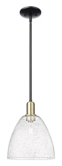 Arcadia One Light Mini Pendant in Black Antique Brass (405|7161SBABGBD94)