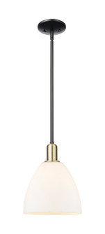 Arcadia One Light Mini Pendant in Black Antique Brass (405|7161SBABGBD91)