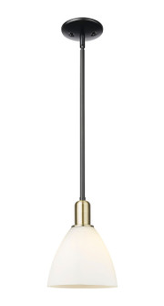 Arcadia One Light Mini Pendant in Black Antique Brass (405|7161SBABGBD751)