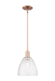 Arcadia One Light Mini Pendant in Antique Copper (405|7161SACGBD94)