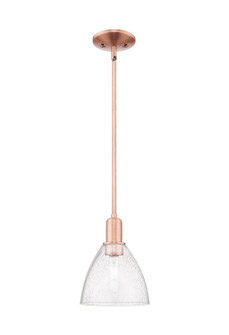 Arcadia One Light Mini Pendant in Antique Copper (405|7161SACGBD754)