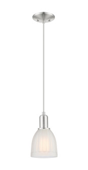 Arcadia One Light Mini Pendant in Brushed Satin Nickel (405|7161PSNG441)