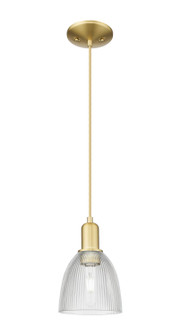 Arcadia One Light Mini Pendant in Satin Gold (405|7161PSGG382)