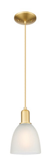 Arcadia One Light Mini Pendant in Satin Gold (405|7161PSGG381)