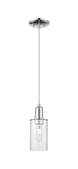 Arcadia One Light Mini Pendant in Polished Chrome (405|7161PPCG802)