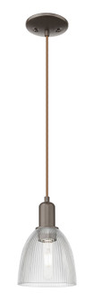 Arcadia One Light Mini Pendant in Oil Rubbed Bronze (405|7161POBG382)
