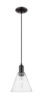 Arcadia One Light Mini Pendant in Matte Black (405|7161PBKGBC84)