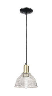 Arcadia One Light Mini Pendant in Black Antique Brass (405|7161PBABG422)
