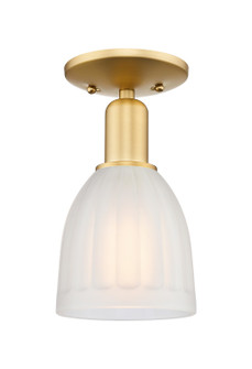 Arcadia One Light Semi-Flush Mount in Satin Gold (405|7161CSGG441)