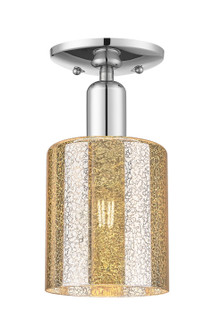 Arcadia One Light Semi-Flush Mount in Polished Chrome (405|7161CPCG116)