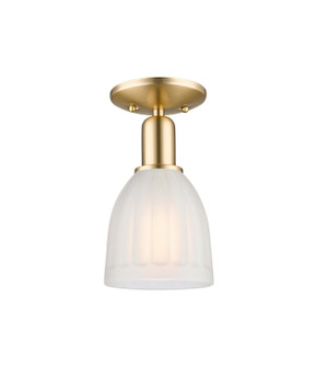 Arcadia One Light Semi-Flush Mount in Champagne Bronze (405|7161CCBG441)