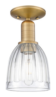 Arcadia One Light Semi-Flush Mount in Brushed Brass (405|7161CBBG442)