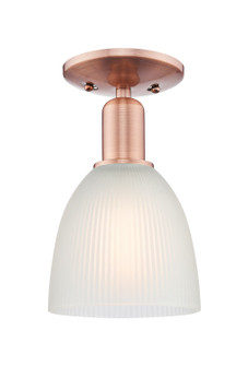 Arcadia One Light Semi-Flush Mount in Antique Copper (405|7161CACG381)