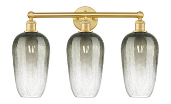 Edison Three Light Bath Vanity in Satin Gold (405|6163WSGG4847SL)