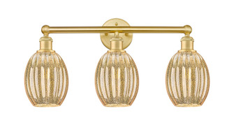 Edison Three Light Bath Vanity in Satin Gold (405|6163WSGG4596ME)