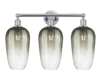 Edison Three Light Bath Vanity in Polished Chrome (405|6163WPCG4847SL)