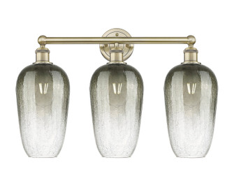 Edison Three Light Bath Vanity in Antique Brass (405|6163WABG4847SL)
