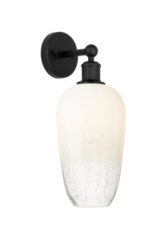 Edison One Light Wall Sconce in Matte Black (405|6161WBKG4847OP)