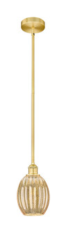 Edison One Light Mini Pendant in Satin Gold (405|6161SSGG4596ME)