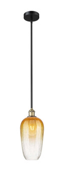 Edison One Light Mini Pendant in Black Antique Brass (405|6161SBABG4847AM)
