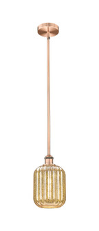 Edison One Light Mini Pendant in Antique Copper (405|6161SACG4607ME)