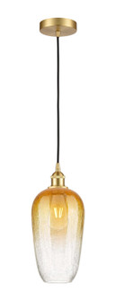 Edison One Light Mini Pendant in Satin Gold (405|6161PSGG4847AM)