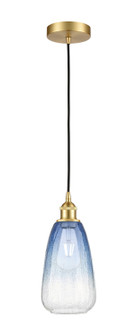 Edison One Light Mini Pendant in Satin Gold (405|6161PSGG4806SB)