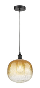 Edison One Light Mini Pendant in Matte Black (405|6161PBKG48110AM)