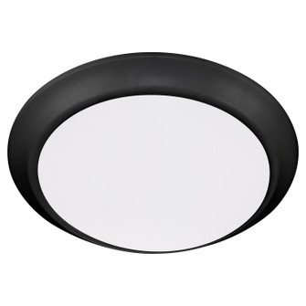 LED Disk in Matte Black (19|9061059)