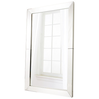 Look In Mirror in Clear (208|07895)