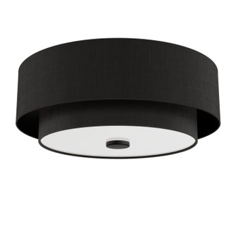 Brookside Two Light Flush Mount in Matte Black (47|48123)