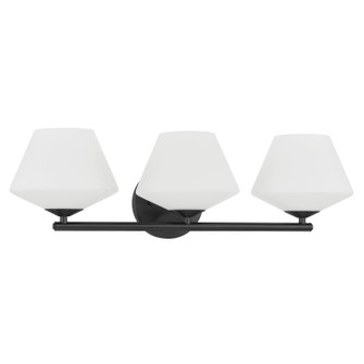Celestial Valley Three Light Vanity in Matte Black (47|48109)