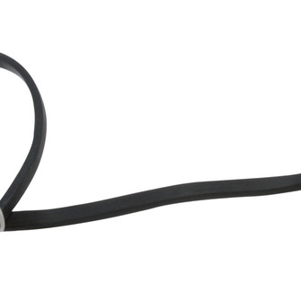 Festoon Festoon String Light Electrical Cable in Black (303|LFSCABLE)