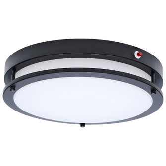 Glamour LED Flush Mount in Black (72|621891)