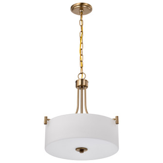 Liam Three Light Pendant in Burnished Brass (72|608204)