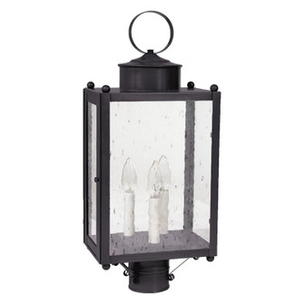 Marlene Three Light Post Mount in Dark Brass (196|NL8053DBLT3CSG)