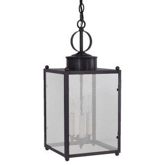 Marlene Three Light Hanging Lantern in Dark Brass (196|NL8052DBLT3FST)