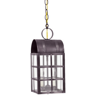 Adams Family Two Light Hanging Lantern in Dark Brass (196|6142DBLT2FST)