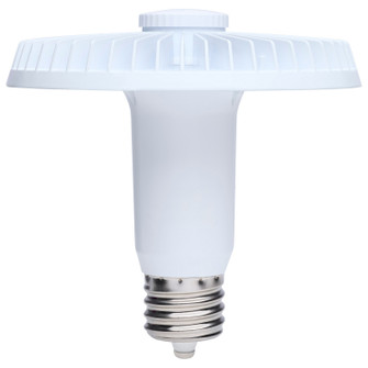 Light Bulb in Clear (230|S13149)