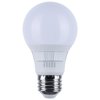 Light Bulb in Frost (230|S11774R1)