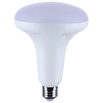 Light Bulb in White (230|S11105)