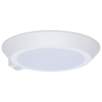 LED Disk Light in White (72|621821R1)