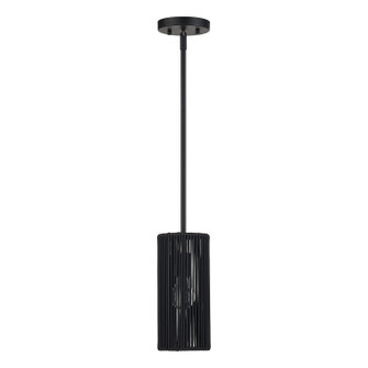 Acordia One Light Mini Pendant in Black (107|6024104)