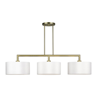 Meridian Three Light Linear Chandelier in Antique Brass (107|4549301)