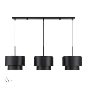 Zolana Three Light Linear Chandelier in Black (107|4005304)