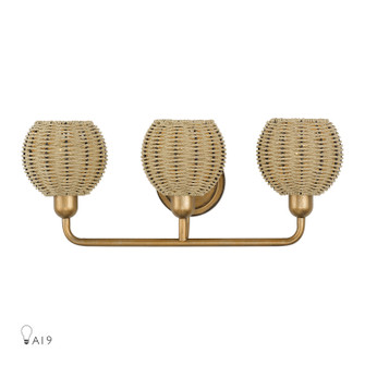 Summervine Three Light Vanity in Antique Gold Leaf (107|1368348)