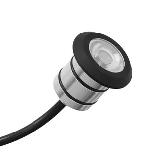 Landscape Led LED Mini All-Purpose in Black Brass (12|16140BKB30)